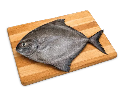 Pomfret fillet boneless
