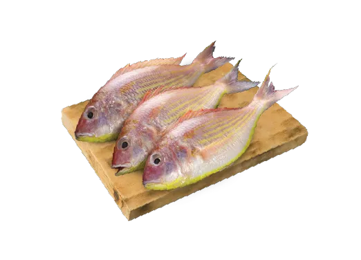 Basa fillet boneless